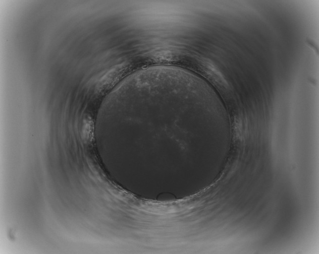 X0000101980029200807251243