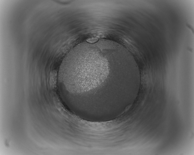 X0000101980030200807251243