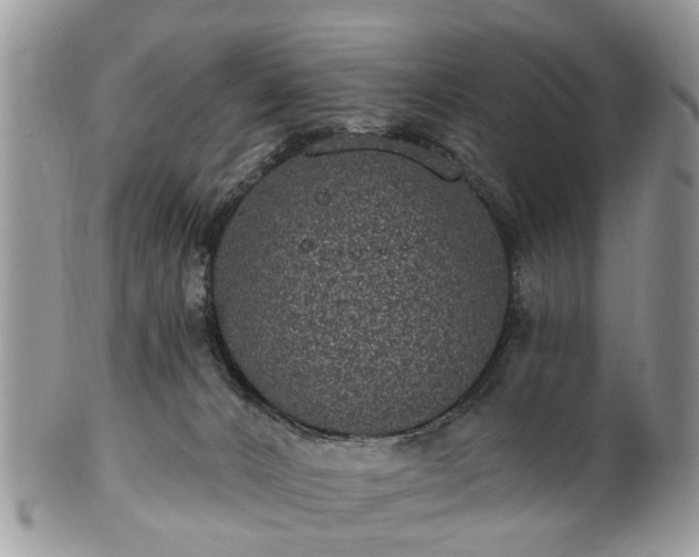 X0000101980032200807251243