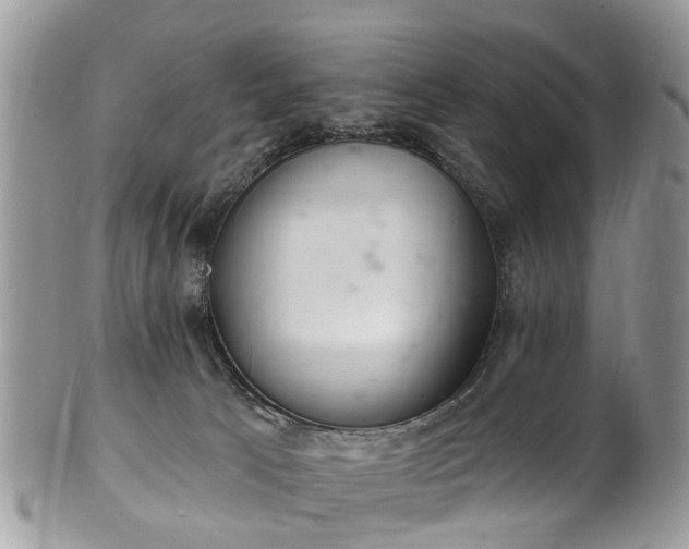 X0000101980033200807251243