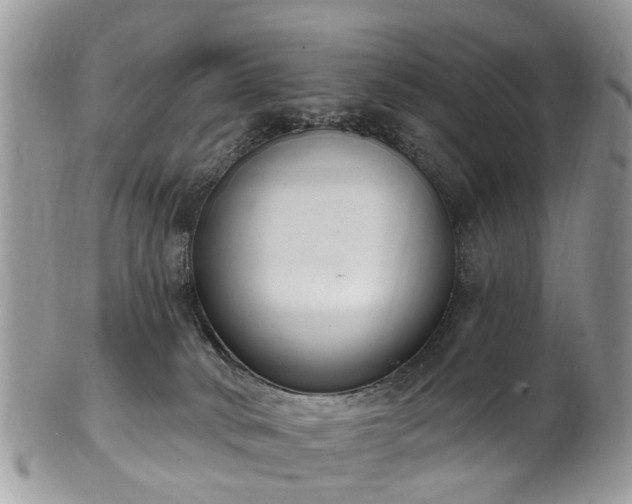 X0000101980034200807251243