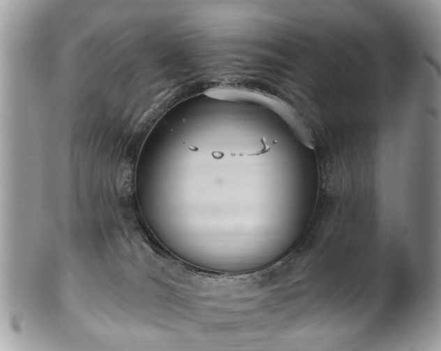 X0000101980036200807251243