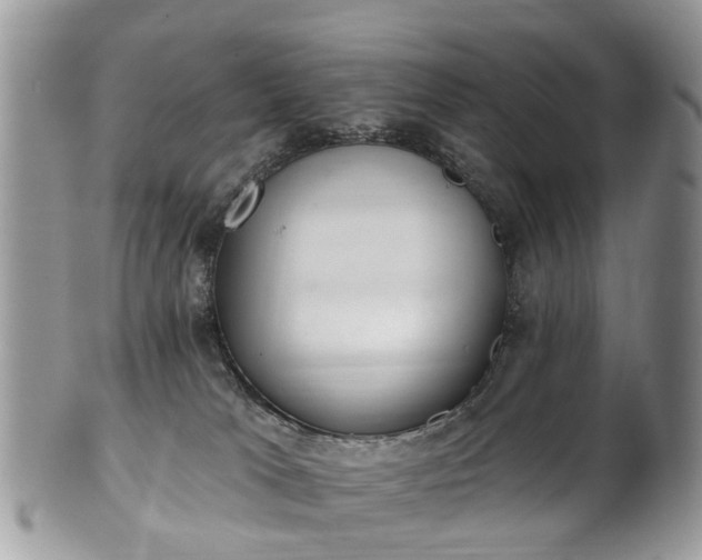 X0000101980037200807251243