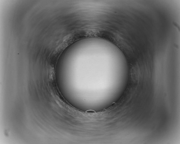 X0000101980038200807251243