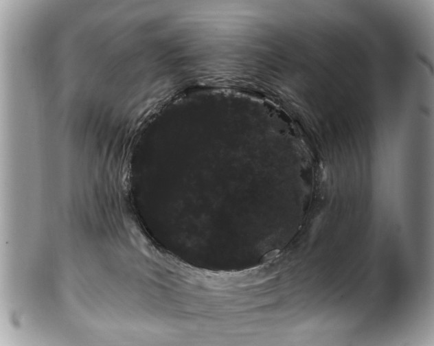 X0000101980039200807251243