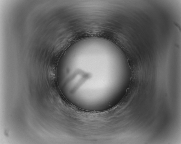 X0000101980040200807251243