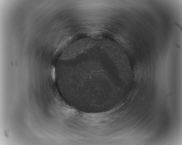 X0000101980041200807251243