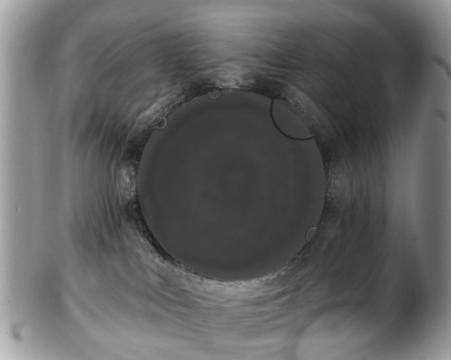 X0000101980043200807251243