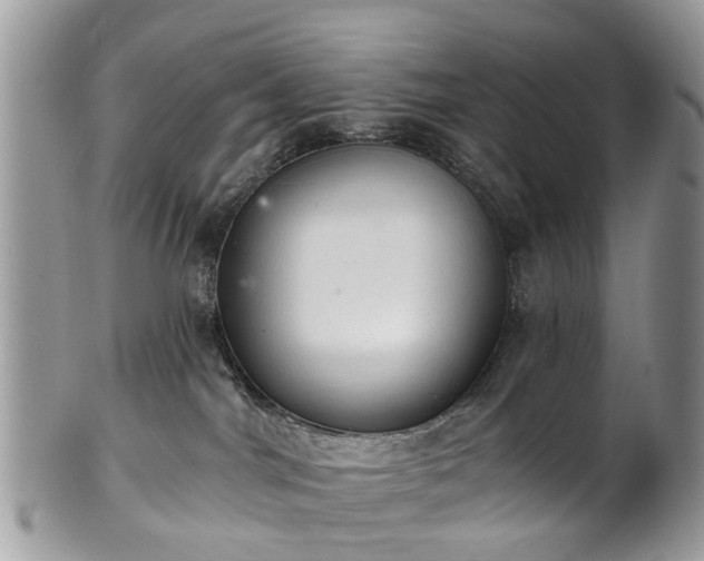 X0000101980044200807251243