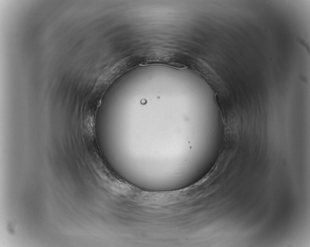 X0000101980045200807251243