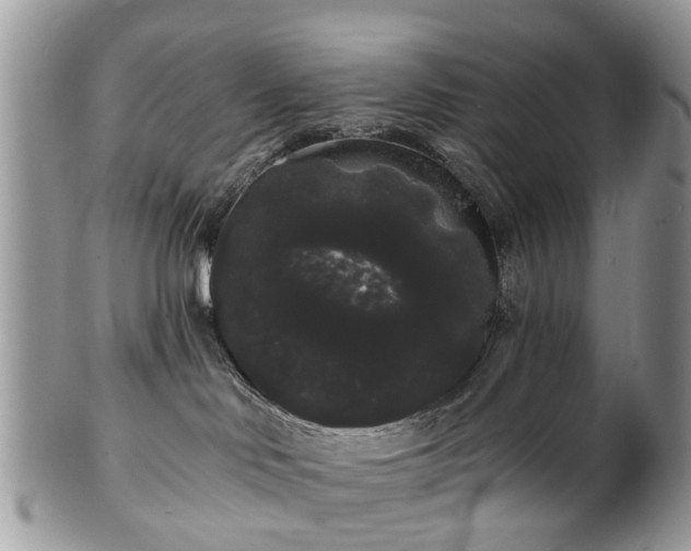 X0000101980046200807251243