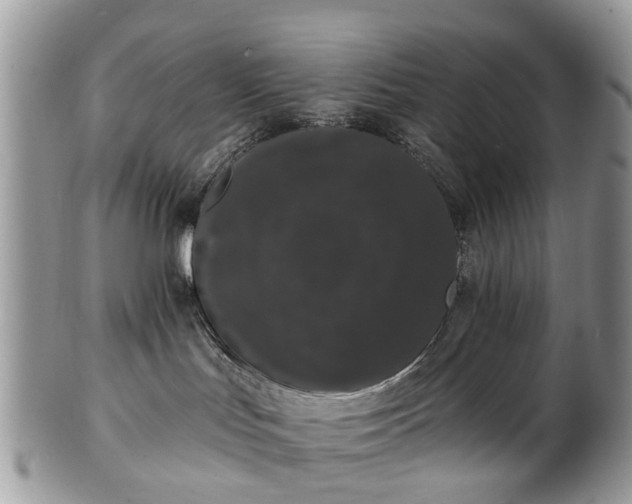 X0000101980047200807251243