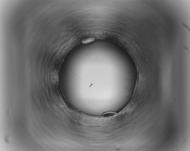 X0000101980048200807251243