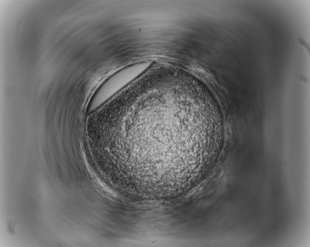 X0000101980049200807251242