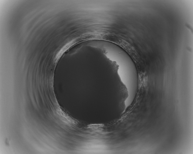 X0000101980051200807251242