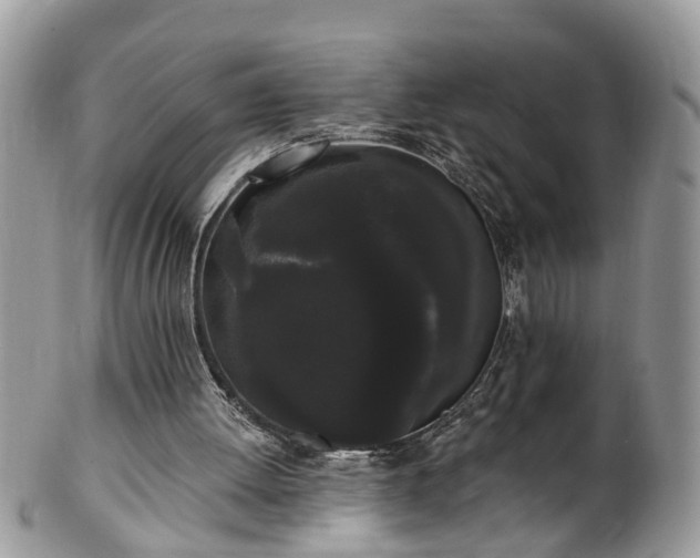 X0000101980052200807251242