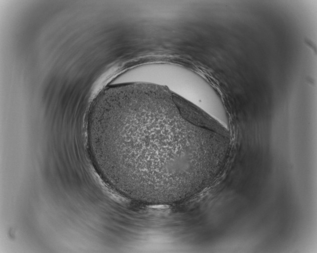 X0000101980053200807251242