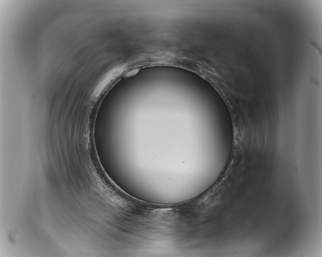 X0000101980054200807251242