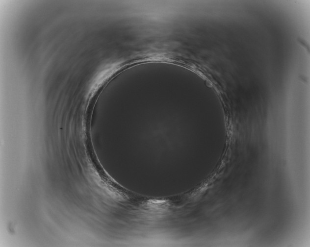 X0000101980055200807251242