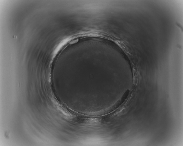 X0000101980056200807251242