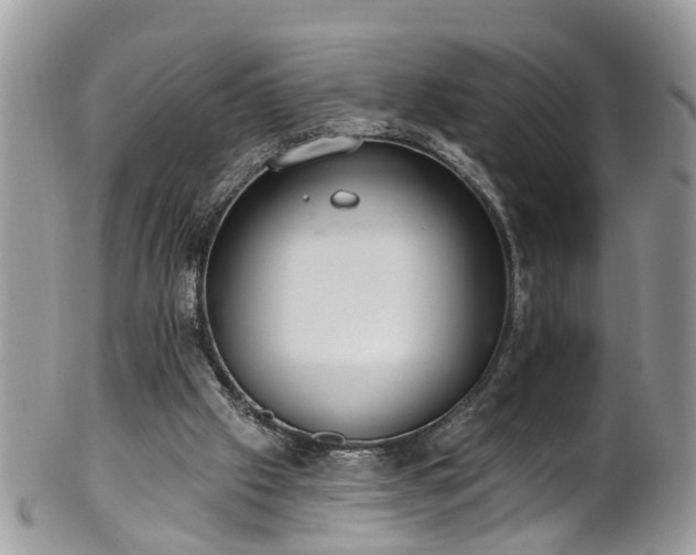 X0000101980057200807251242