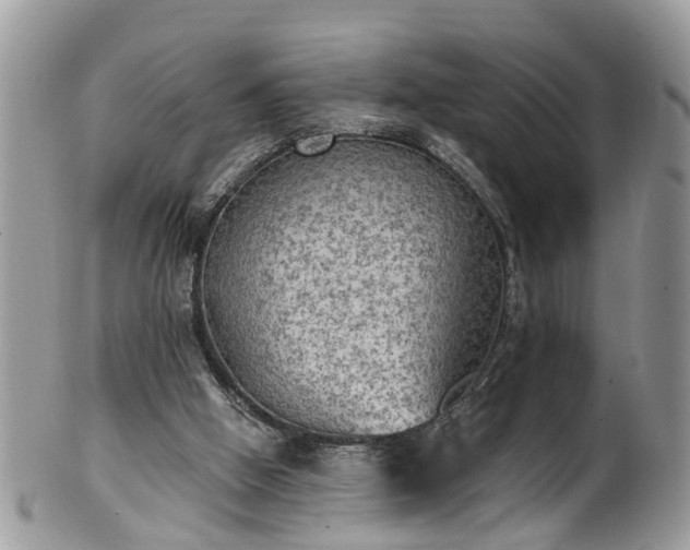 X0000101980058200807251242