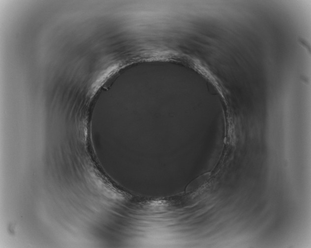 X0000101980059200807251243