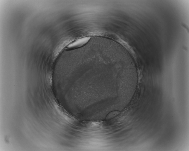 X0000101980060200807251243