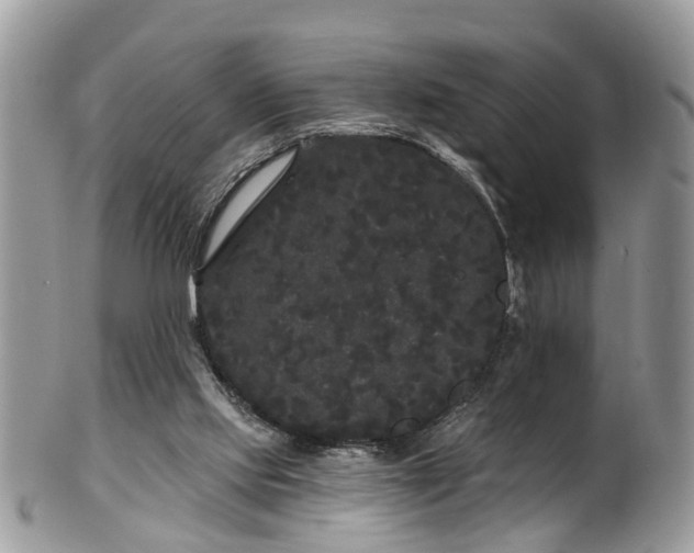 X0000101980061200807251243