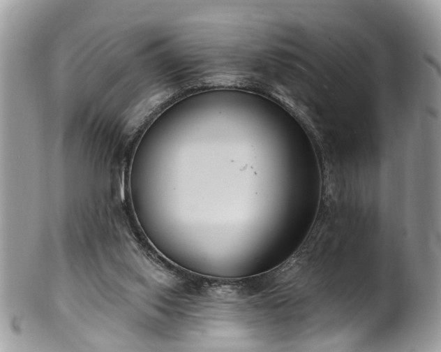 X0000101980062200807251243