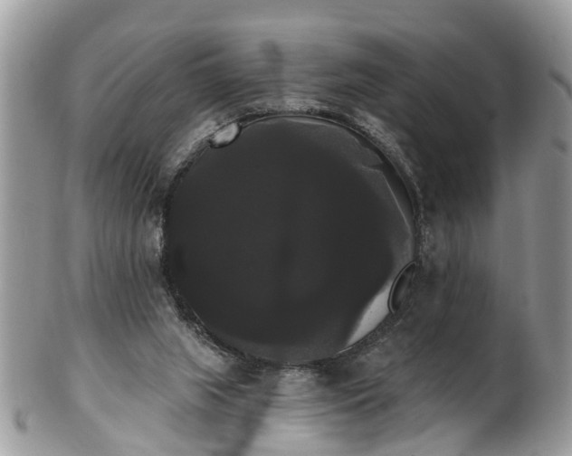 X0000101980063200807251243