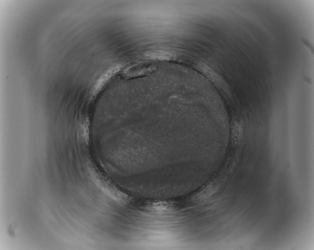 X0000101980064200807251243