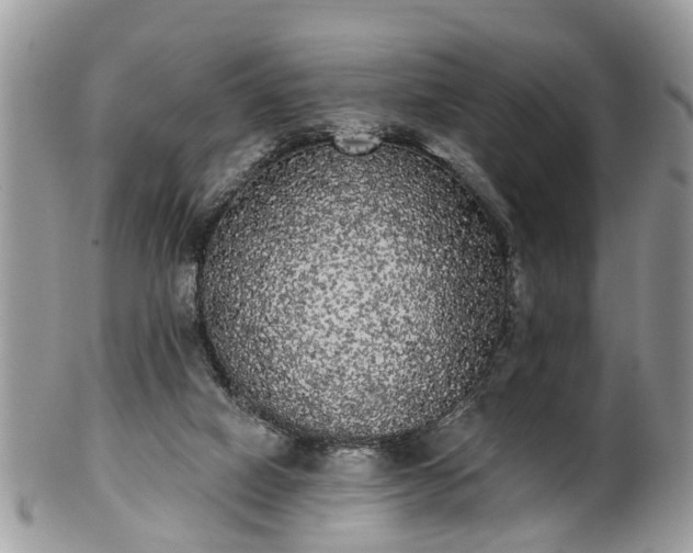 X0000101980066200807251243