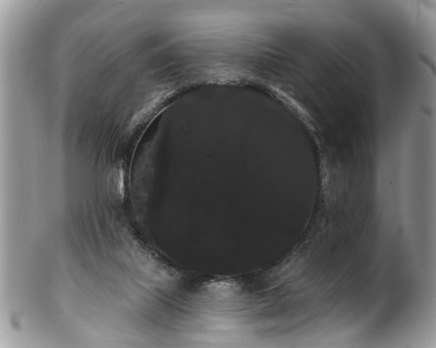 X0000101980067200807251243