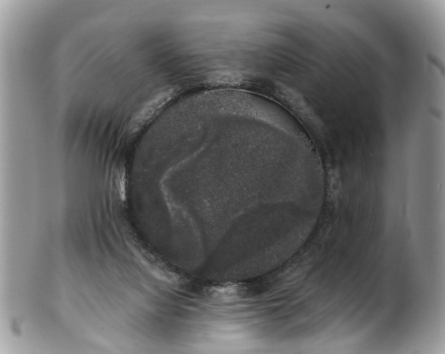 X0000101980068200807251243