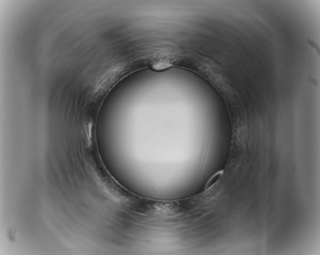 X0000101980070200807251243