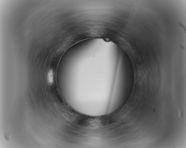 X0000101980075200807251243