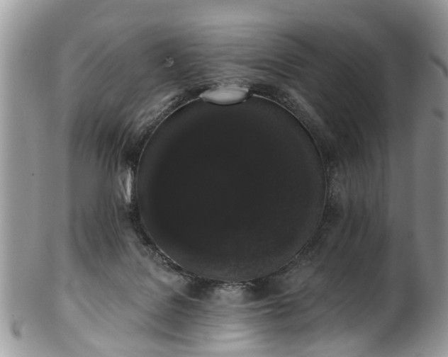 X0000101980076200807251243