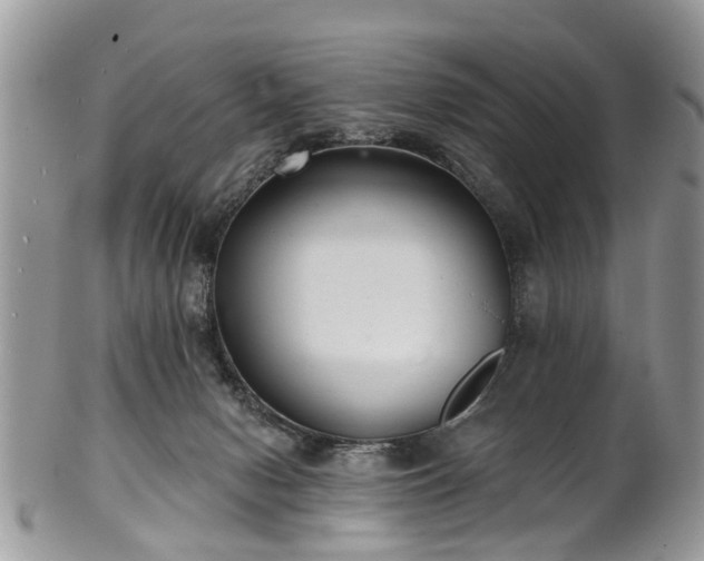 X0000101980078200807251243