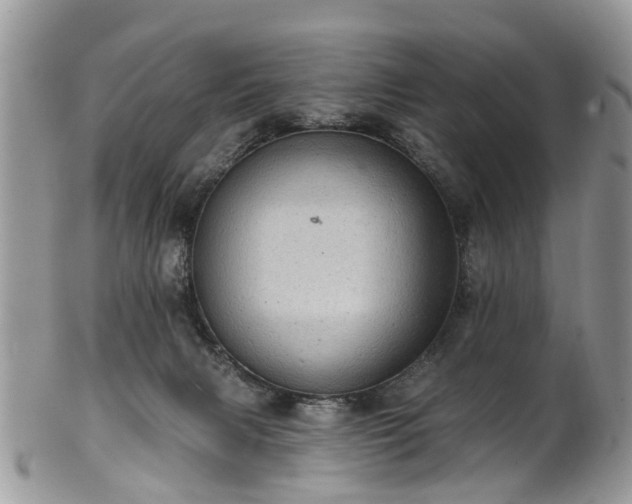 X0000101980079200807251243