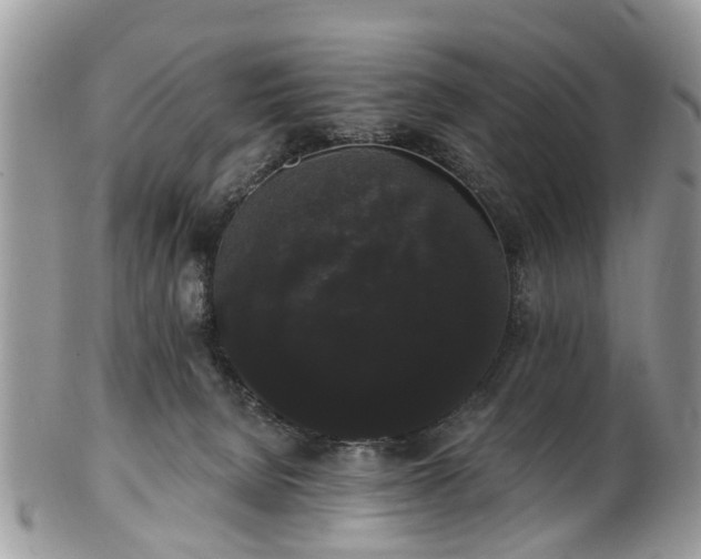 X0000101980080200807251243