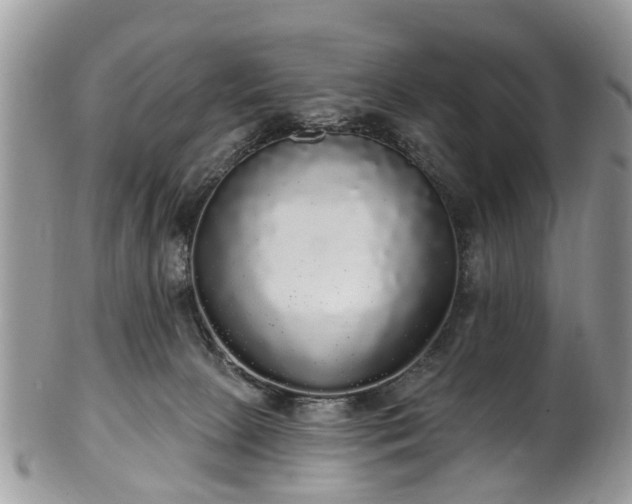 X0000101980081200807251243