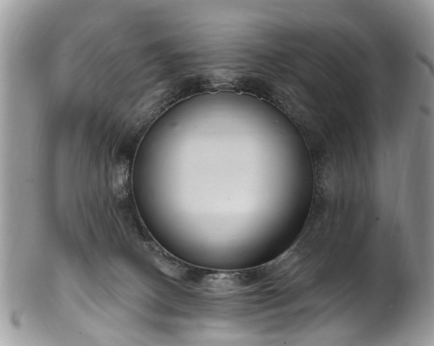 X0000101980082200807251243