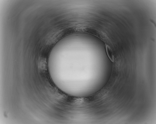 X0000101980083200807251243