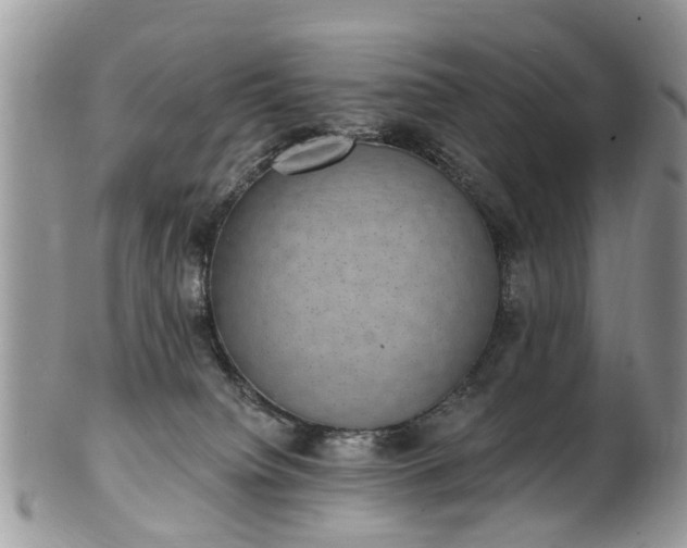 X0000101980084200807251243