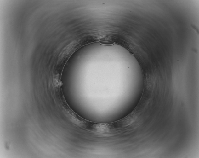 X0000101980085200807251243