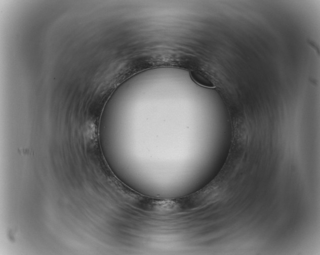 X0000101980087200807251243