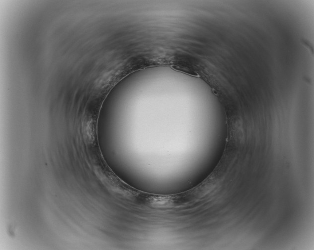 X0000101980088200807251243