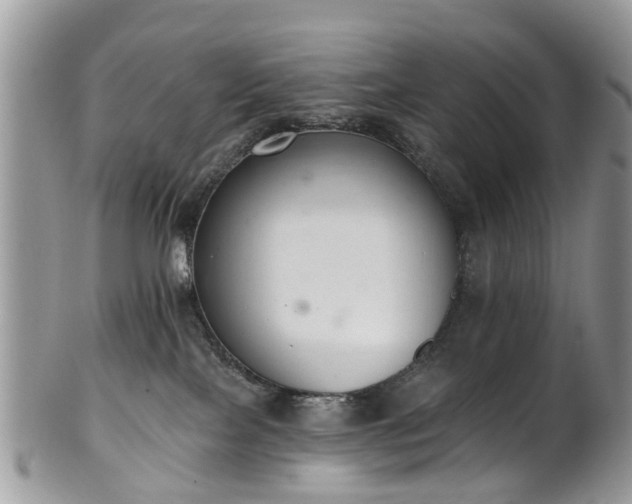 X0000101980089200807251243