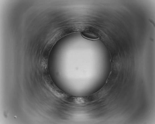 X0000101980091200807251243